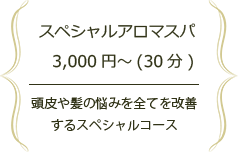 スペシャルアロマスパ