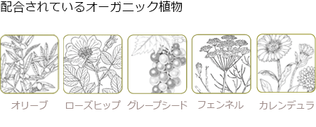 配合されているオーガニック植物